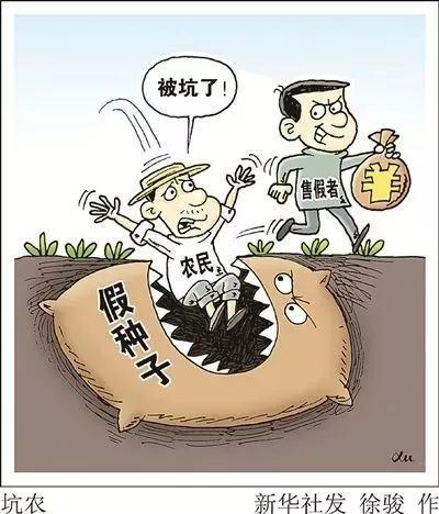 網(wǎng)上購買到假種子導致絕收，該怎么辦？購買多注意，維權(quán)有方法??？